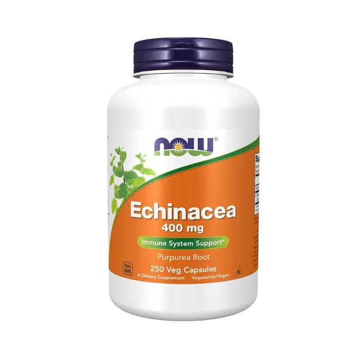 NOW Echinacea 400mg Immune System Support 250 Veggie Caps - supplemynts.com