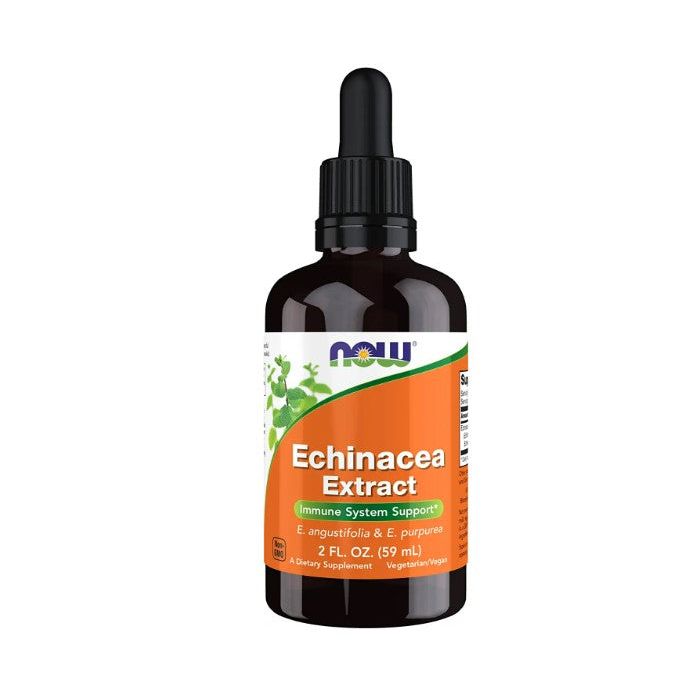NOW Echinacea Extract Liquid 2 Oz  Immune System Support Supplement - supplemynts.com