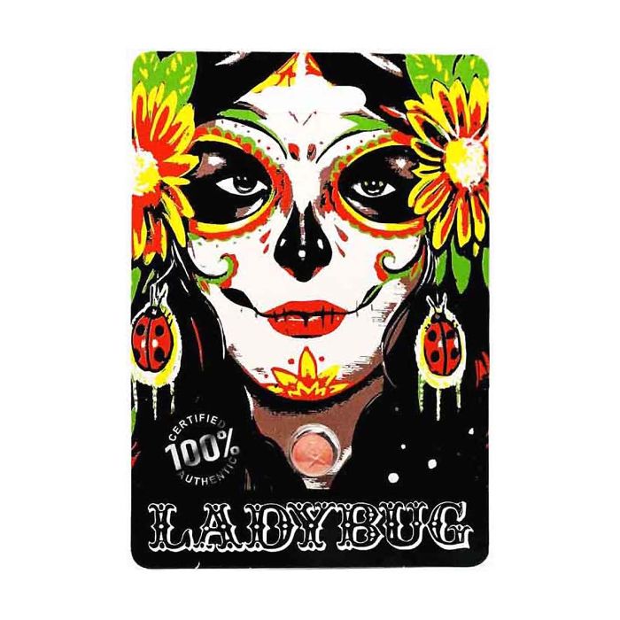 Ladybug sexual performance enhancer, designed to boost stamina, prolong intercourse, and prevent premature ejaculation with natural ingredients.