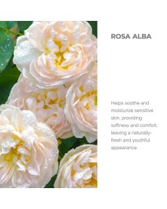 Alteya Organics Bulgarian White Rose Water 4 Oz Glass Spray Bottle