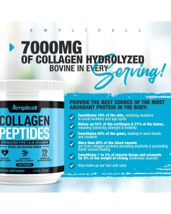 Amplicell Unflavored Collagen Peptides Powder Skin Nails Hair Support - supplemynts.com