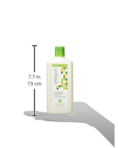 Andalou Naturals Exotic Marula Oil Silky Smooth Shampoo 11.5 fl oz