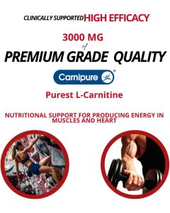 CarniBlast Liquid L Carnitine Raspberry Flavor 16 Oz Bricker Labs