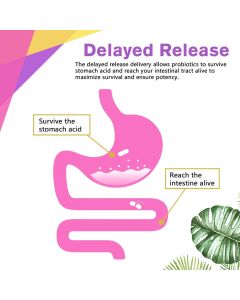 Doctor&#039;s Recipes Women’s Probiotic Dietary Supplement 60 Veggie Caps