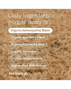 Genexa Homeopathic Flu Fix Non Drowsy 60 Chewable Tablets Berry Flavor