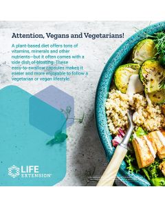 Life Extension Enhanced Super Digestive Enzymes 60 Vegetarian Caps