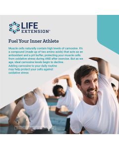 Life Extension Super Carnosine 500mg 60 Vegetarian Caps