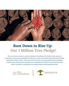 Live Conscious CoQWell CoQ10 Heart Health Support 60 Softgels