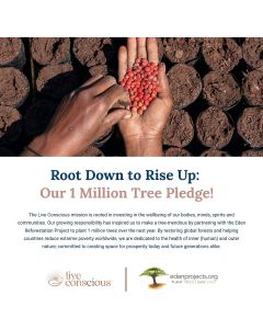 Live Conscious OmegaWell Omega 3 Fish Oil Supplement 60 Softgels