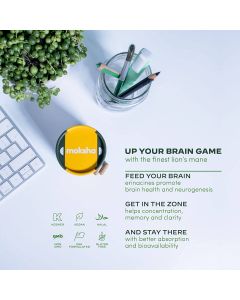 Moksha Focus Lion’s Mane Mushrooms Erinacines Brain Health 60 Caps - supplemynts.com