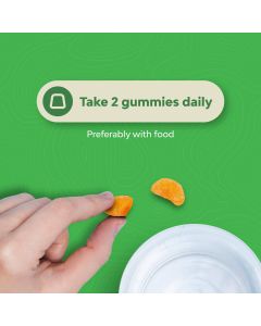 Nature&#039;s Craft Vitamin C 60 Gummies Orange Flavor Adult Formula - supplemynts.com