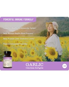 NatureWise Garlic Odorless 60 Softgels 1500mg Dietary Supplement