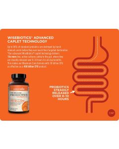 NatureWise Time Release Daily Care Probiotics Immune Health Support