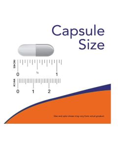 NOW Boswellia Extract 250mg Balanced Immune Response Support 120 Caps - supplemynts.com