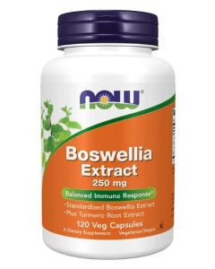 NOW Boswellia Extract 250mg Balanced Immune Response Support 120 Caps - supplemynts.com