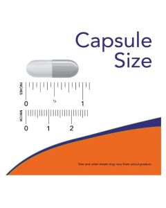 NOW Cal Mag 240 Caps Bone Health Support Supplement