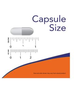 NOW Cat&#039;s Claw 500mg Herbal Support Supplement 100 Veggie Caps - supplemynts.com