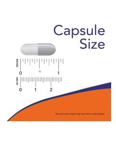 NOW Colostrum 500 mg Immune Function Support 120 Veggie Caps - supplemynts.com