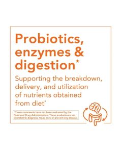 NOW DGL with Aloe Vera 400mg 100 Veggie Caps Digestion Support - supplemynts.com