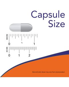 NOW Diet Support with ForsLean Thermogenic Formula 120 Veggie Caps