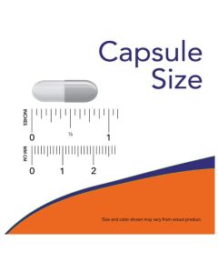 NOW Echinacea 400mg Immune System Support 250 Veggie Caps - supplemynts.com