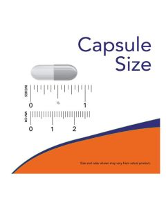 NOW Eggshell Membrane 500mg 60 Veggie Caps Joint Health Support - supplemynts.com