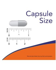 NOW Elderberry 500mg Free Radical Scavenger 60 Veggie Caps