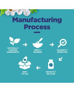 Phytoral Mind Supplement Brain Booster Supplement 60 Caps