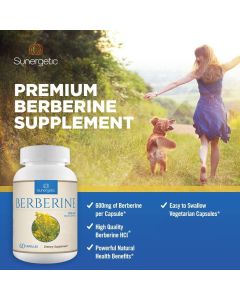 Sunergetic Berberine 1200mg Cardiovascular Support Supplement 60 Caps