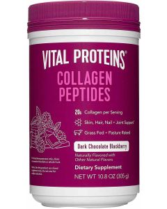 Vital Proteins Collagen Peptides Dark Chocolate Blackberry 10.8 Oz - supplemynts.com