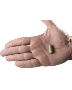 Vitalite Now Olive Leaf Extract 20% Oleuropein Antioxidant 120 Caps