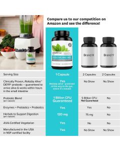 Zenwise Daily Digestive Enzymes Pre Probiotics Supplement Veggie Caps