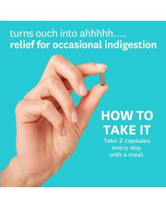 Zenwise Daily Endigestion Gastrointestinal Comfort Support 60 Caps