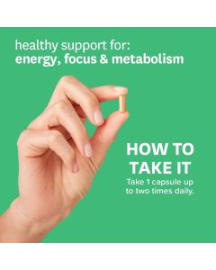 Zenwise Green Tea Extract Egcg Vitamin C Supplement 120 Caps - supplemynts.com